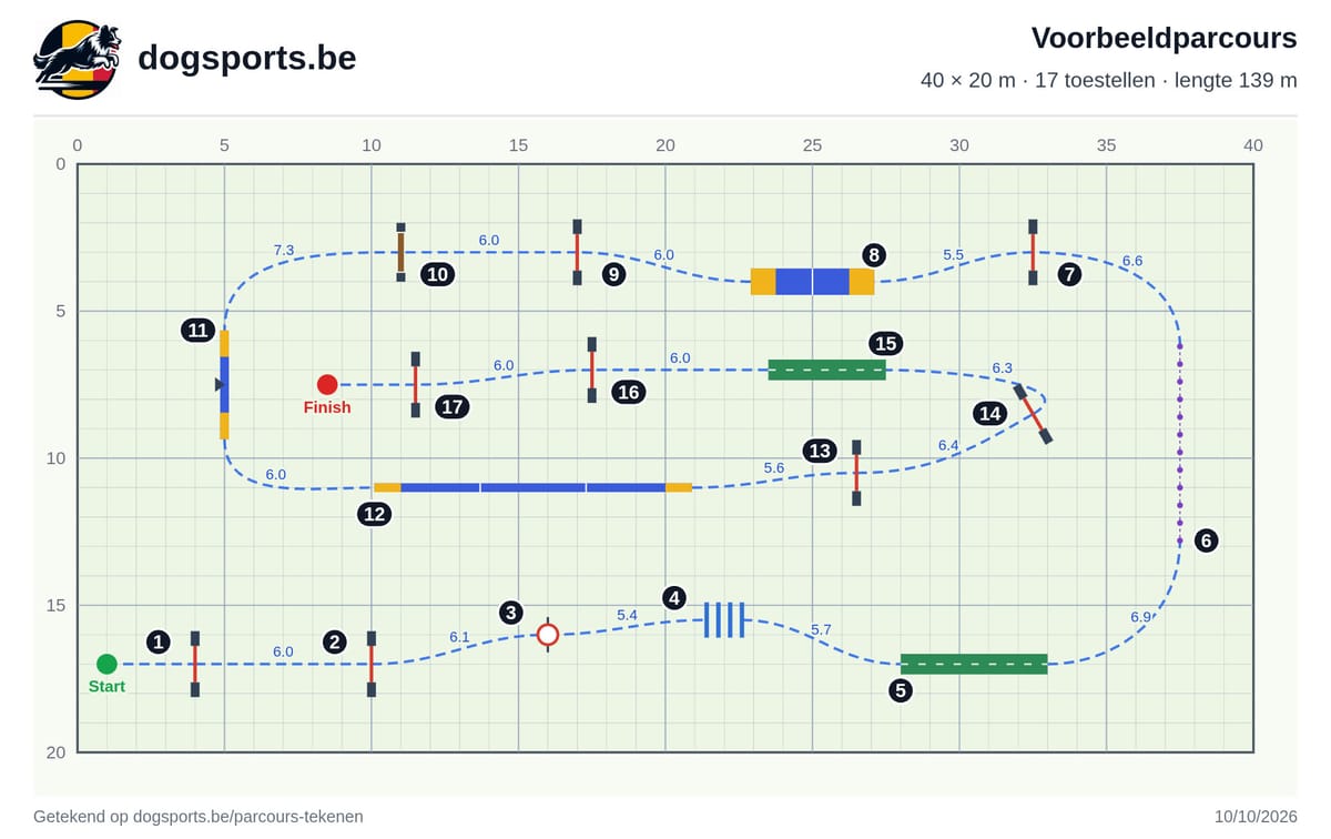 Voorbeeldparcours volgens de FCI-richtlijnen op een ring van 40 × 20 m, getekend met de parcourstool van dogsports.be